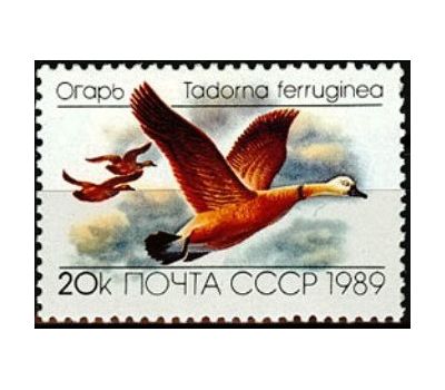  3 почтовые марки «Утки» СССР 1989, фото 4 