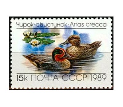  3 почтовые марки «Утки» СССР 1989, фото 3 