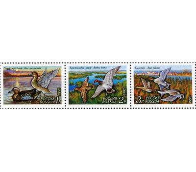  3 почтовые марки «Утки» 1992, фото 1 