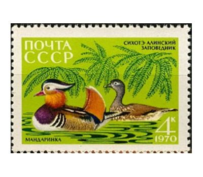  5 почтовых марок «35 лет Сихоте-Алинскому государственному заповеднику» СССР 1970, фото 3 