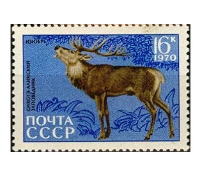  5 почтовых марок «35 лет Сихоте-Алинскому государственному заповеднику» СССР 1970, фото 5 
