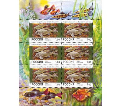  Малый лист «Фауна. Аквариумные рыбы» 1998, фото 1 