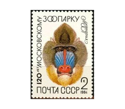  5 почтовых марок «120 лет Московскому зоопарку» СССР 1984, фото 2 