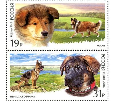  2 почтовые марки «Фауна России. Служебные породы собак» 2016, фото 1 