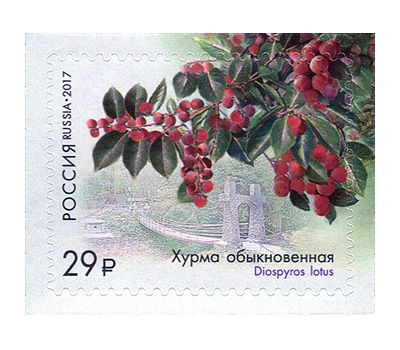  4 почтовые марки «Флора России. К 125-летию Сочинского парка «Дендрарий» 2017, фото 4 