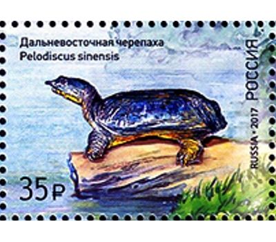  Квартблок «Фауна России. Черепахи» 2017, фото 3 