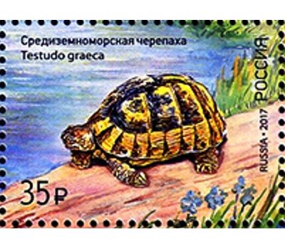  Квартблок «Фауна России. Черепахи» 2017, фото 5 