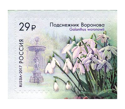  4 почтовые марки «Флора России. К 125-летию Сочинского парка «Дендрарий» 2017, фото 2 