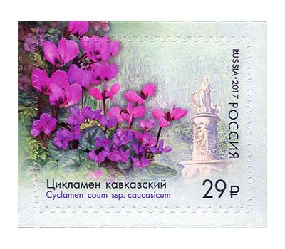  4 почтовые марки «Флора России. К 125-летию Сочинского парка «Дендрарий» 2017, фото 5 