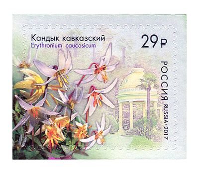  4 почтовые марки «Флора России. К 125-летию Сочинского парка «Дендрарий» 2017, фото 3 