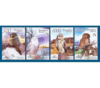  Почтовые марки «Фауна. Совы» Беларусь, 2007, фото 1 