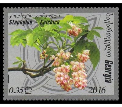  Почтовая марка «Флора. Колхидская клекачка» Грузия, 2016, фото 1 