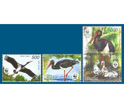  Почтовые марки «Фауна. Черный аист» Беларусь, 2005, фото 1 