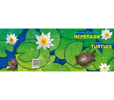  Сувенирный набор в художественной обложке «Фауна России. Черепахи» 2017, фото 2 