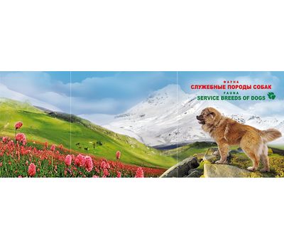  Сувенирный набор в художественной обложке «Фауна России. Служебные породы собак» 2015, фото 2 
