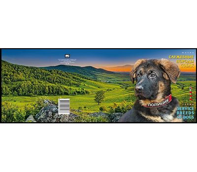  Сувенирный набор в художественной обложке «Фауна России. Служебные породы собак» 2016, фото 3 