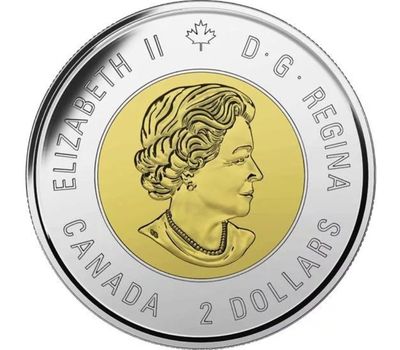  Монета 2 доллара 2015 «100 лет стихотворению «На полях Фландрии» Канада, фото 2 