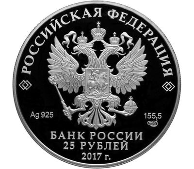  Серебряная монета 25 рублей 2017 «Портбукет» (цветная), фото 2 