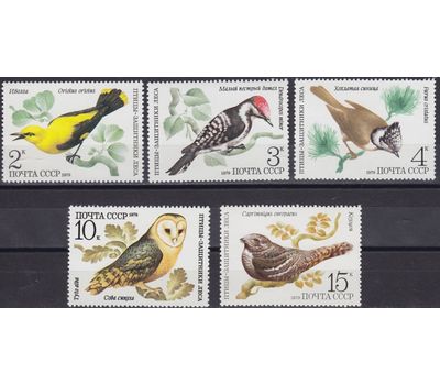 5 почтовых марок «Птицы — защитники леса» СССР 1979, фото 1 