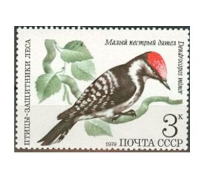  5 почтовых марок «Птицы — защитники леса» СССР 1979, фото 2 