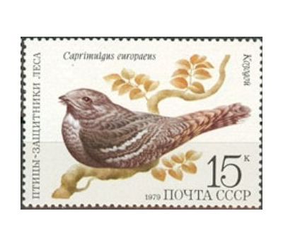  5 почтовых марок «Птицы — защитники леса» СССР 1979, фото 5 