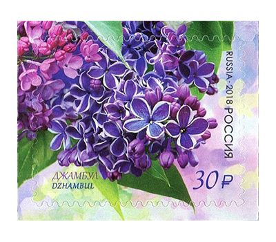  4 почтовые марки «Флора России. Сирень» 2018, фото 5 