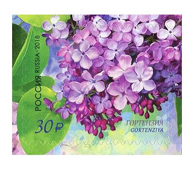  4 почтовые марки «Флора России. Сирень» 2018, фото 4 
