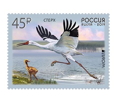  Почтовая марка «Птицы. Стерх» 2019, фото 1 