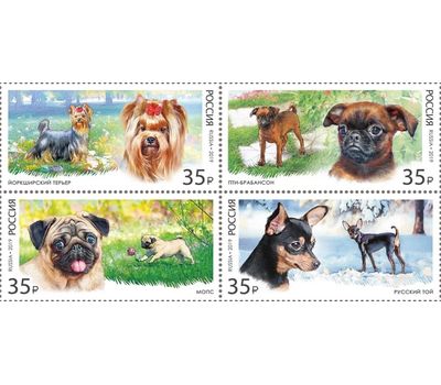  4 почтовые марки «Декоративные породы собак» 2019, фото 1 