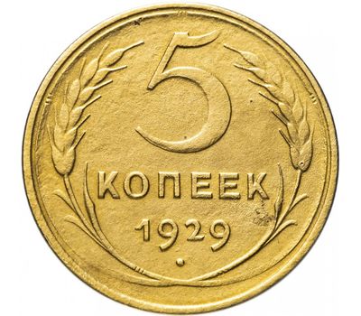  Монета 5 копеек 1929, фото 1 