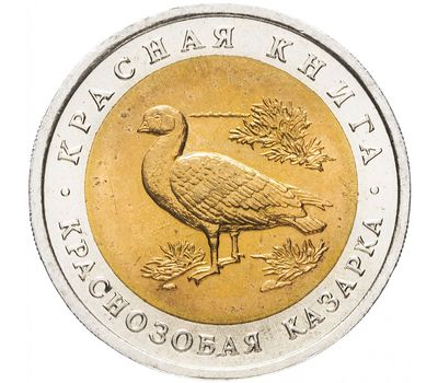  Монета 10 рублей 1992 «Красная книга: Краснозобая казарка», фото 1 