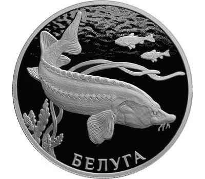  Серебряная монета 2 рубля 2019 «Красная книга: белуга», фото 1 