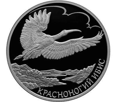  Серебряная монета 2 рубля 2019 «Красная книга: красноногий ибис», фото 1 