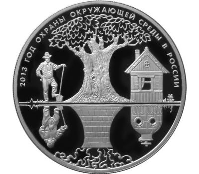  Серебряная монета 3 рубля 2013 «Год охраны окружающей среды», фото 1 