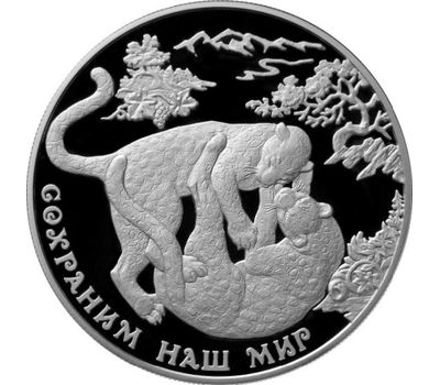  Серебряная монета 25 рублей 2011 «Сохраним наш мир — Переднеазиатский леопард», фото 1 