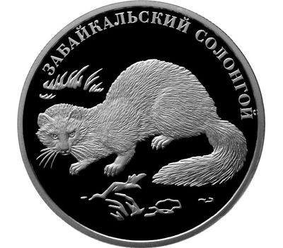  Серебряная монета 2 рубля 2012 «Забайкальский солонгой», фото 1 