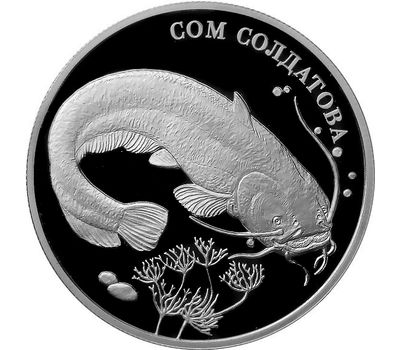  Серебряная монета 2 рубля 2014 «Сом Солдатова», фото 1 