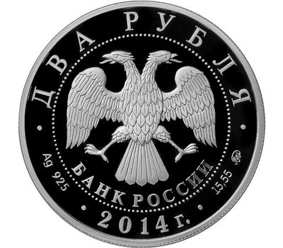  Серебряная монета 2 рубля 2014 «Сом Солдатова», фото 2 