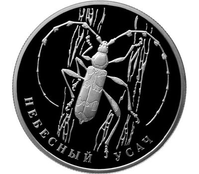  Серебряная монета 2 рубля 2012 «Небесный усач», фото 1 