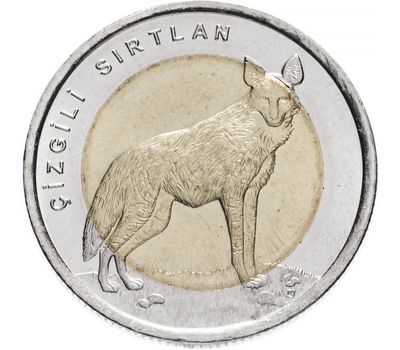  Монета 1 лира 2014 «Полосатая гиена (Фауна)» Турция, фото 1 
