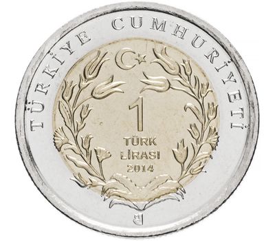  Монета 1 лира 2014 «Полосатая гиена (Фауна)» Турция, фото 2 