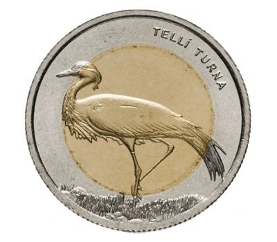  Монета 1 лира 2013 «Журавль-Красавка (Красная книга)» Турция, фото 1 