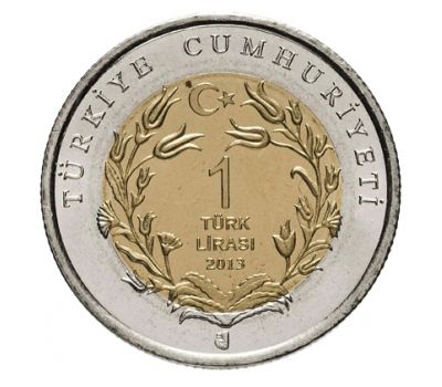  Монета 1 лира 2013 «Журавль-Красавка (Красная книга)» Турция, фото 2 