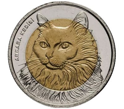  Монета 1 лира 2010 «Кошка (Фауна)» Турция, фото 1 