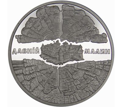  Монета 5 гривен 2016 «Древний Малин» Украина, фото 1 