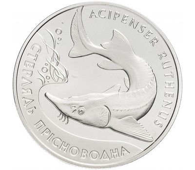  Монета 2 гривны 2012 «Стерлядь пресноводная» Украина, фото 1 
