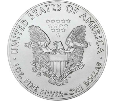  Монета 1 доллар 2019 «Шагающая свобода» США (серебро), фото 2 