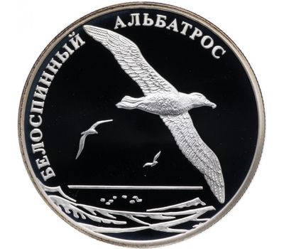  Серебряная монета 2 рубля 2010 «Красная книга: Белоспинный альбатрос», фото 1 