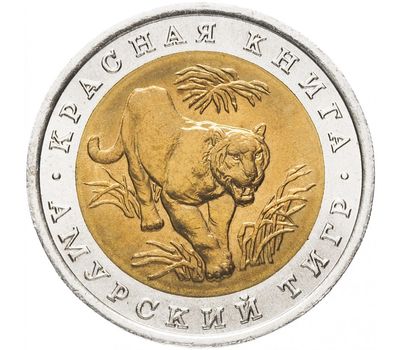  Монета 10 рублей 1992 «Красная книга: Амурский тигр», фото 1 