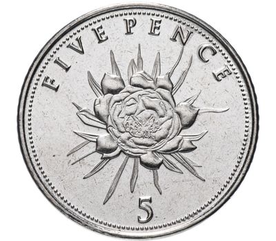  Монета 5 пенсов 2016 «Цветок» Гибралтар, фото 1 